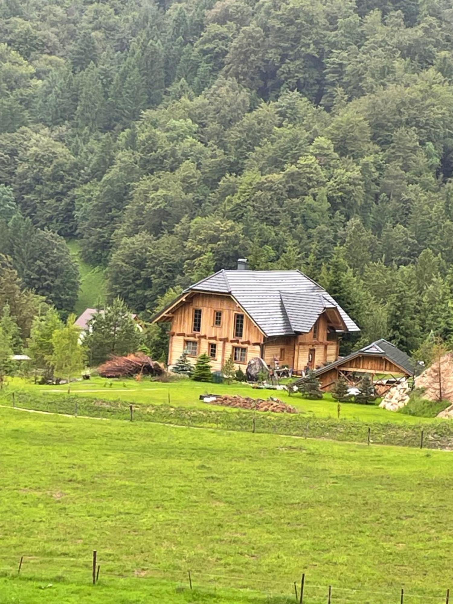 Apartment Pod Skalco Jesenice Exterior photo